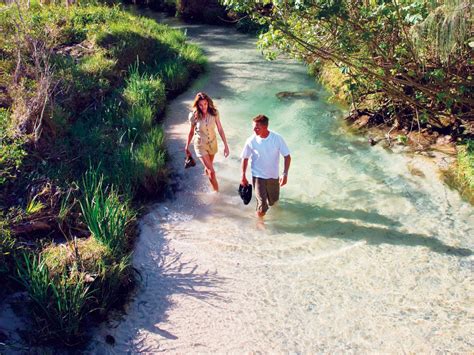 Weather, staffing problems and other unforeseen circumstances can impact park events. Eli Creek boardwalk | K'gari (Fraser Island), Great Sandy ...