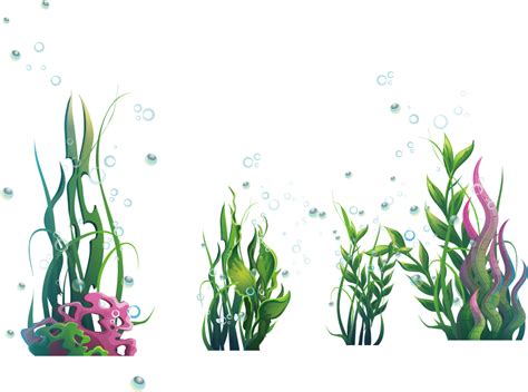 Seaweeds Clipart Png Images Seaweed Seaweed Clipart Grass Png Image Images