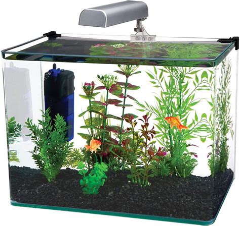 12 Best Rimless Fish Tanks Which One Is For You Ibmk