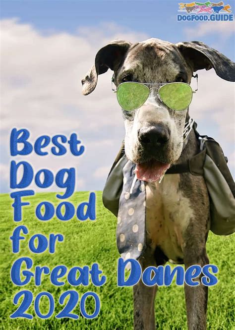 The best senior dog food is one that is complete and balanced and has been specifically formulated with their key nutritional requirements in mind, like super premium food. Best Dog Food For Great Dane 2020: Recommended Brands for ...