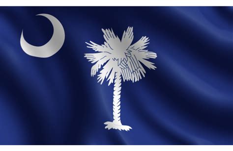 Belson Closerlook South Carolina State Flag The Palmetto State