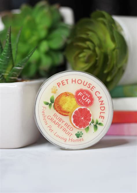 My problem is that i didn't buy each product needed to make one candle all at the same time. One Fur All Pet House Candle Mini Candle Sampler Spring ...