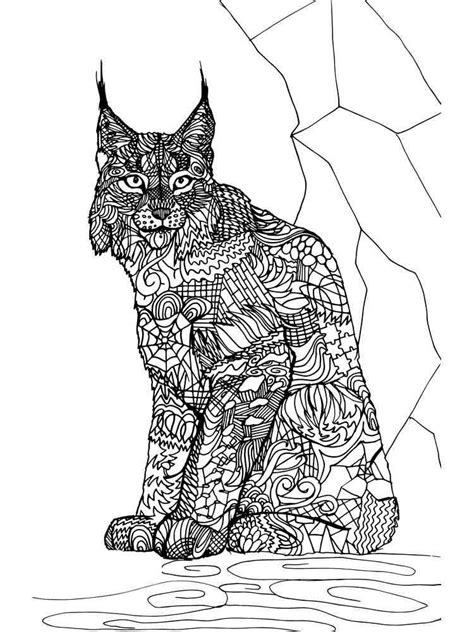Lynx Coloring Pages For Adults