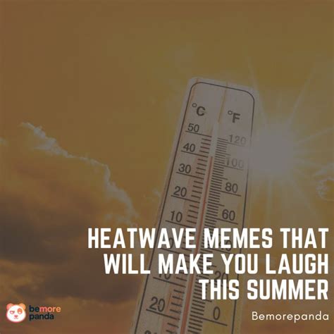 Heatwave Memes That Will Make You Laugh This Summer In 2022 Memes