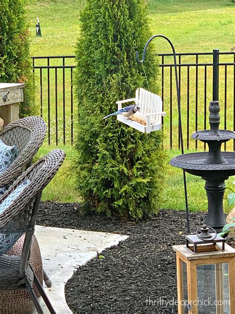 My Favorites for Backyard Bird Watching | Thrifty Decor Chick | Thrifty