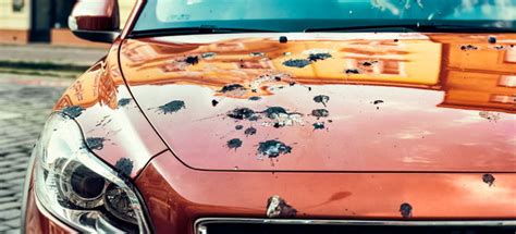 10 Most Common Causes Of Car Paint Damage