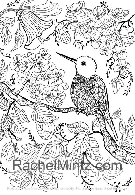 Adult Coloring Pages Pdf Free Wallpapers Hd