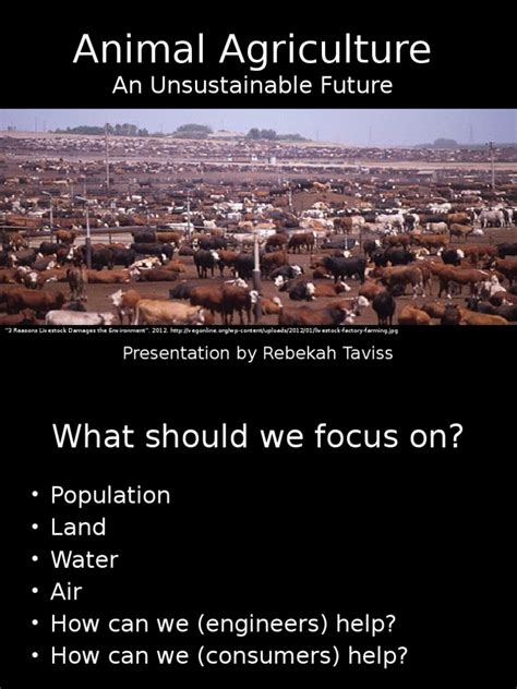 The Unsustainable Future Of Animal Agriculture Presenting Solutions