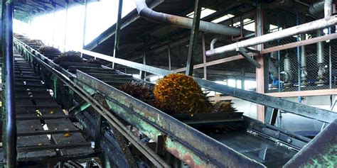 Mesin Conveyor Chain Pabrik Kelapa Sawit Pt Kharismapratama