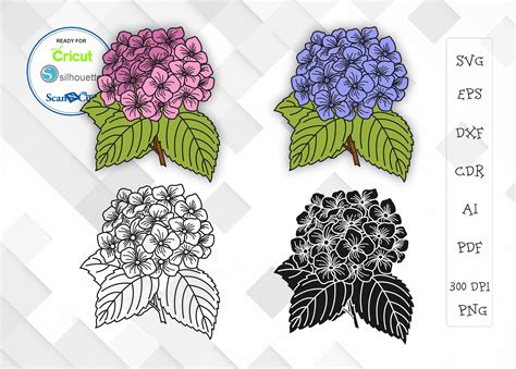 Hydrangea Set Svg Png Dxf Garden Svg Flower Vector Designs | Etsy in