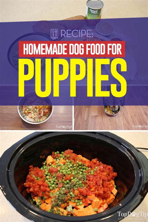 Add the chicken, sweet potatoes, carrots, frozen peas, diced tomato juice, fresh parsley, olive oil and saltwater in a gallon cooking pot. Homemade Dog Food for Puppies Recipe (Healthy and Easy to ...
