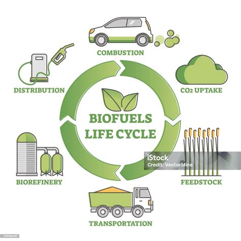 Diagram Siklus Hidup Biofuel Sebagai Produksi Proses Konsumsi