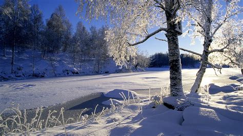 Landscape Winter Snow Trees Wallpapers Hd Desktop And