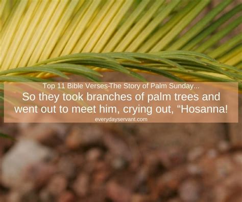 Top 11 Bible Verses The Story Of Palm Sunday Everyday Servant