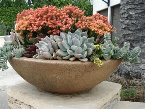 47 How To Make An Indoor Succulent Dish Garden 12 Succulent Garden