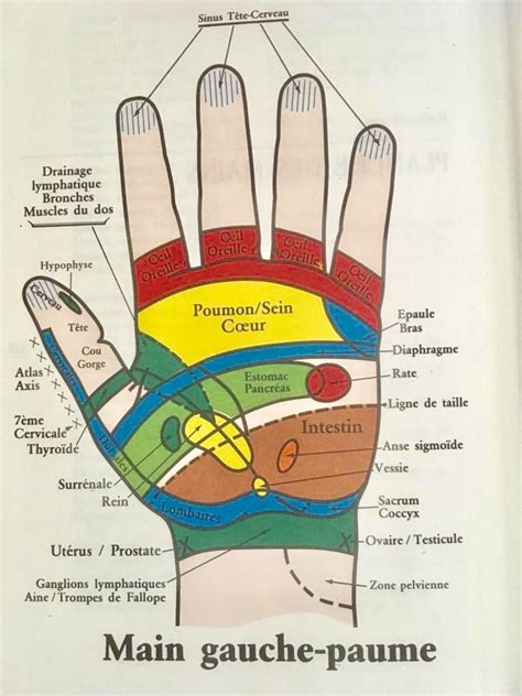 Réflexologie plantaire et palmaire Martine Enkaoua Réflexologue Réflexologie Ces points d