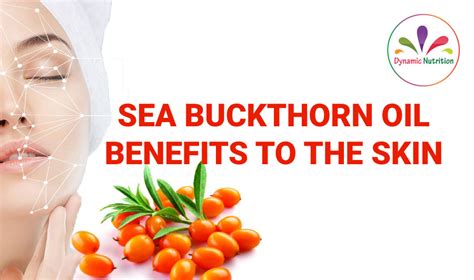 Sea Buckthorn Oil Benefits To The Skin Dynamic Nutrition