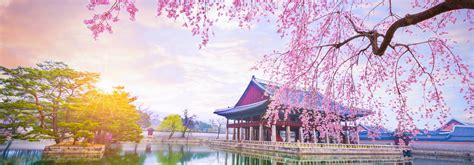 South Korea Travel Insurance | Zoom to it!