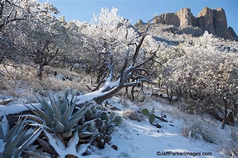 Big Bend In The Snow ~ Jeff Parkers Blog For The Naturally Curious