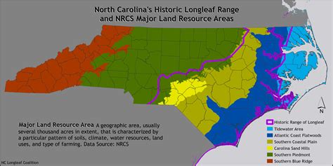 North Carolina Long Leaf Pine Coalition Maps