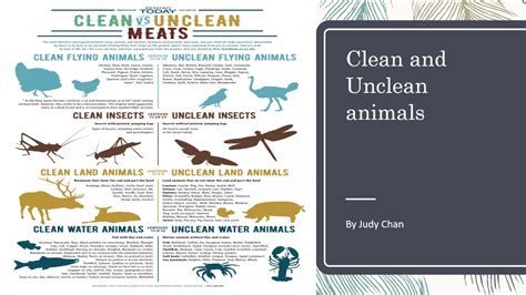 Clean And Unclean Animals Youtube