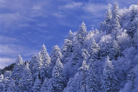 Smoky Mountain Winter Scenes Wallpapers And Backgrounds 4k Hd Dual Screen