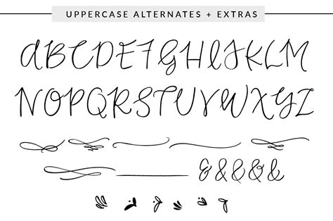 All fonts are categorized and can be saved for quick reference and comparison. Duckbite Swash Calligraphy Font