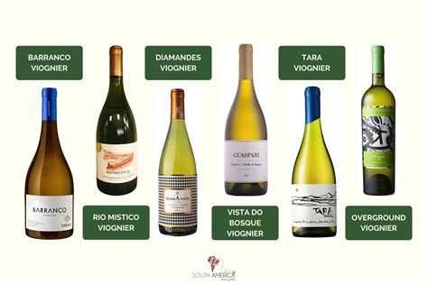 The Ultimate Guide To Viognier In South America Best Viognier Wines