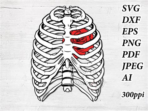 Skeleton Rib Cage SVG Skeleton SVG Ribs SVG Bones Svg Thorax Etsy