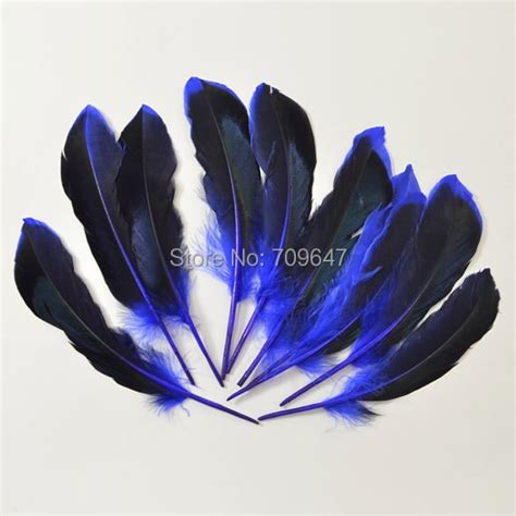 Plumes 100pcslot 8 12cm Mallard Duck Quill Feathers Iridescent Blue