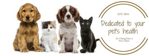 Plaza pet clinic would love to be your pet's vet! Dr. Chirag Dave's Pets' Clinic - 266 Photos - Doctor - GF ...
