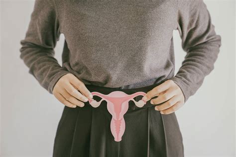 Klitoris Nedir Doç Dr Çağlar Helvacıoğlu
