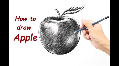 How To Draw Apple With Pencil Step By Step Youtube