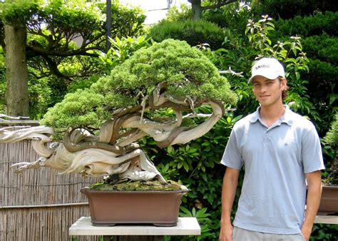 Top 10 Bonsai Tree For Sale Bonsai Plants Online