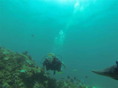 Bali Jetpacks and Water Sports (Nusa Dua) - 2021 All You Need to Know