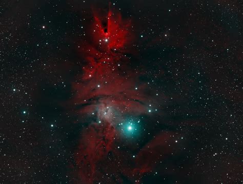 Christmas Tree Cluster And Cone Nebula Ngc 2264 Size Large Deep