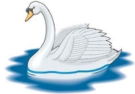 Swan Clipart Bird And Other Clipart Images On Cliparts Pub