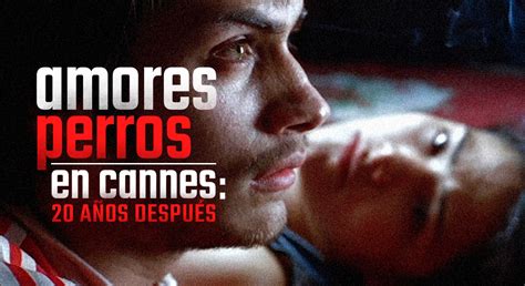 Ver Pelicula Amores Perros Selectionsapje