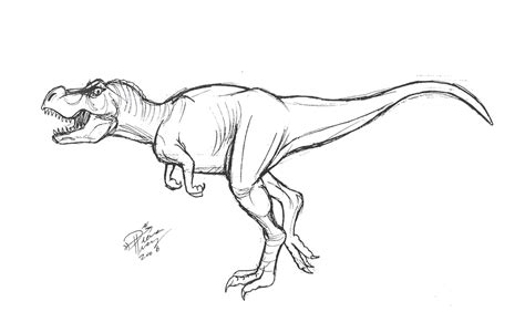 Tyrannosaurus Rex Sketch At Explore Collection Of