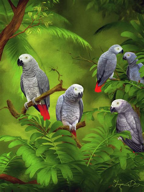 African Grey Parrots Painting By Jurgen Doelle