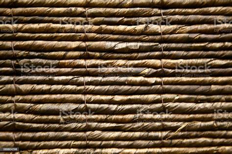 Thatched Roof Texture Palm Leaf Construction Ceiling Pattern Wicker