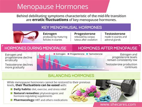 Uncovering The Risks Of Going Hormone Free During Menopause Peace X Peace
