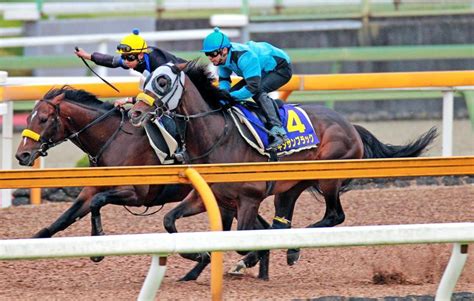 The latest tweets from ケイン・ヤリスギ「♂」 (@kein_yarisugi). 【天皇賞】キタサンブラック好気配/競馬・レース/デイリー ...