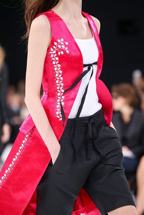 Christian Dior Spring 2015 Ready To Wear Collection Gallery Look