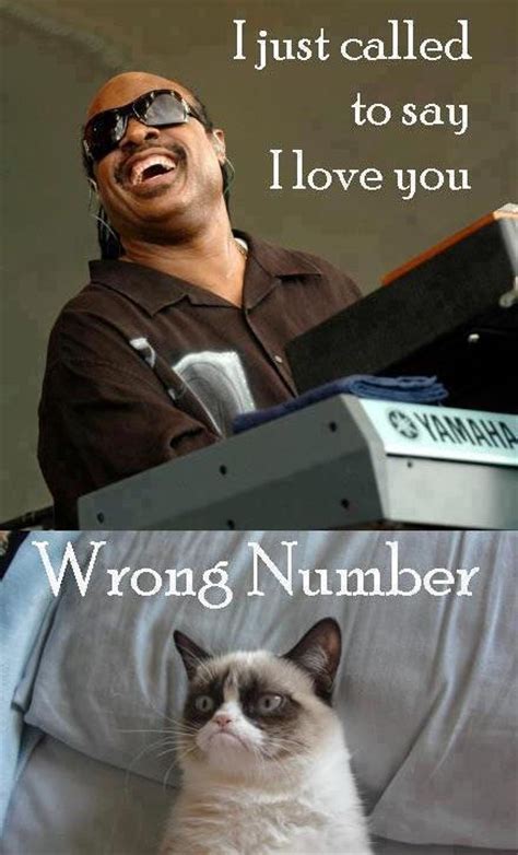 Stevie Wonder Grumpy Cat Know Your Meme