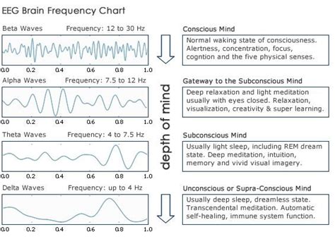 Eeg Frequency Chart Levels Of Consciousness States Of Consciousness
