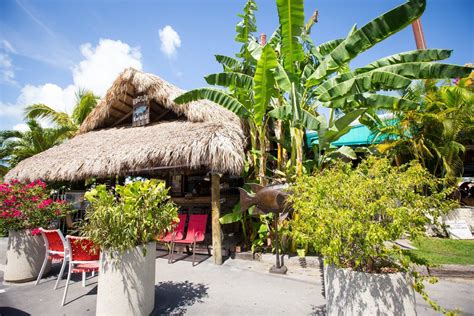 Experienced anglers can land a. 10 Delicious Reasons You Should Be In Key West Right Now ...