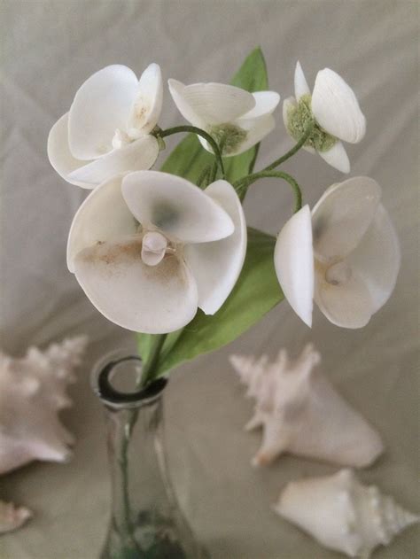 Baby Clam Seashell Flower Stem In White Etsy Shell Flowers Shell