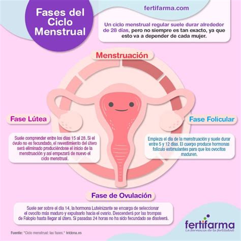 Todo Lo Que No Sab As Del Ciclo Menstrual Y D As F Rtiles