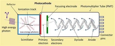 Nai(tl) scintillation crystals are widely used in most standard gamma spectroscopy applications due to their unmatched high light output and excellent match of their emission spectrum to the sensitivity of photomultiplier tubes. AE1S Science and Engineering Blog: Scintillation Gamma ...